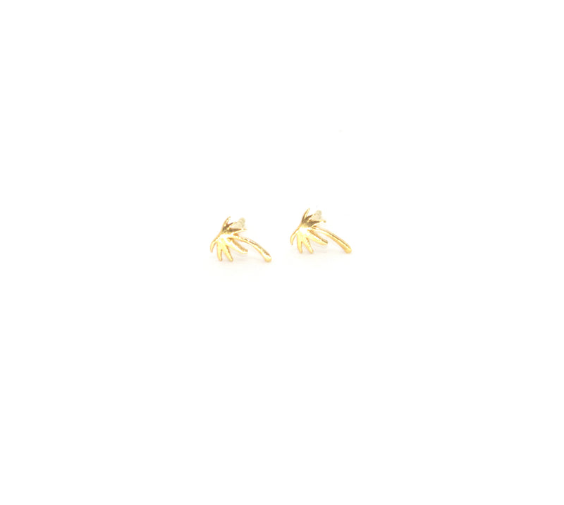 Palm Tree Studs